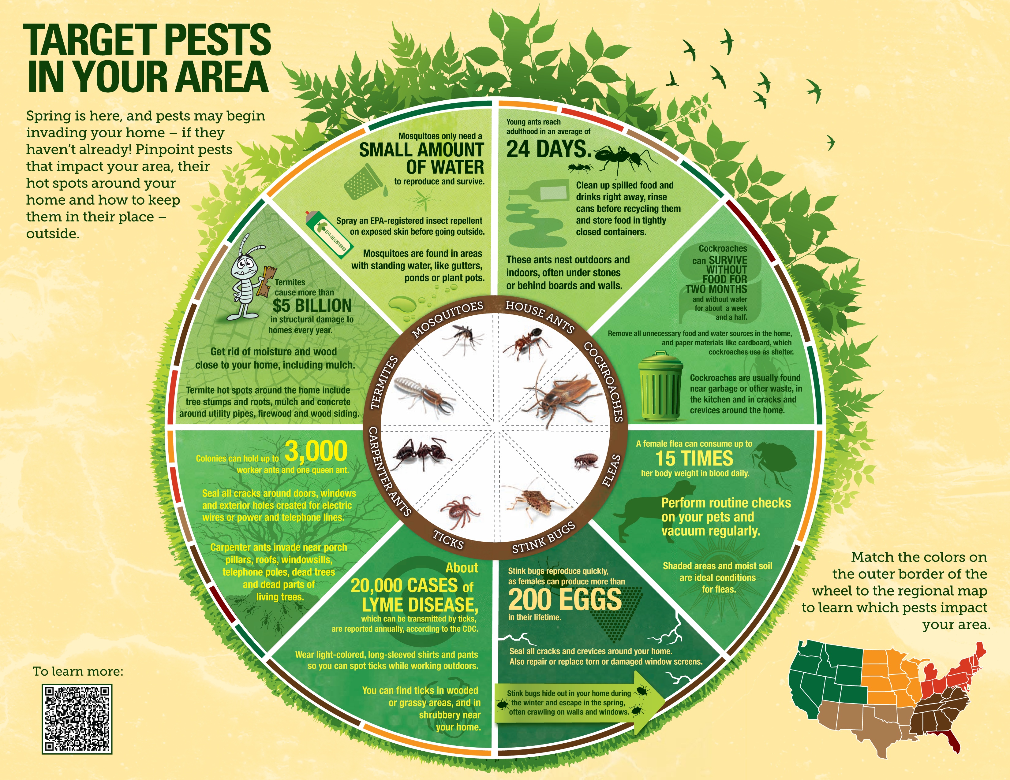 Insect Infestation Infographic & Prevention | Gotto Insurance